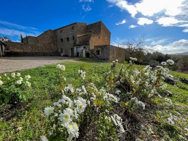 Casa rústica, Arta