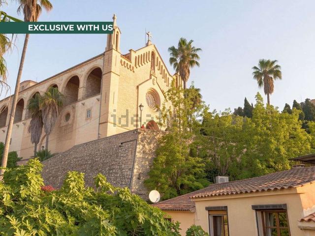 Casa rústica, Arta