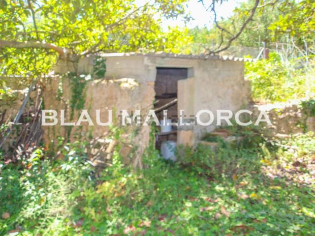 Casa rústica, Arta