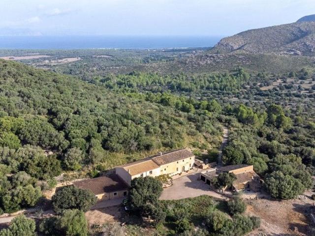 Casa rústica, Arta