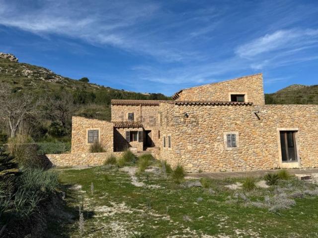 Casa rústica, Arta
