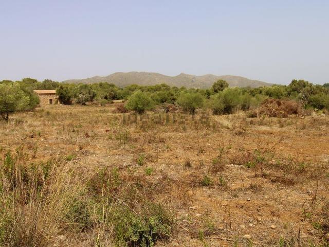 Casa rústica, Arta