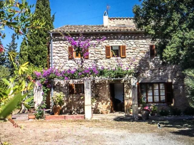 Casa rústica, Arta