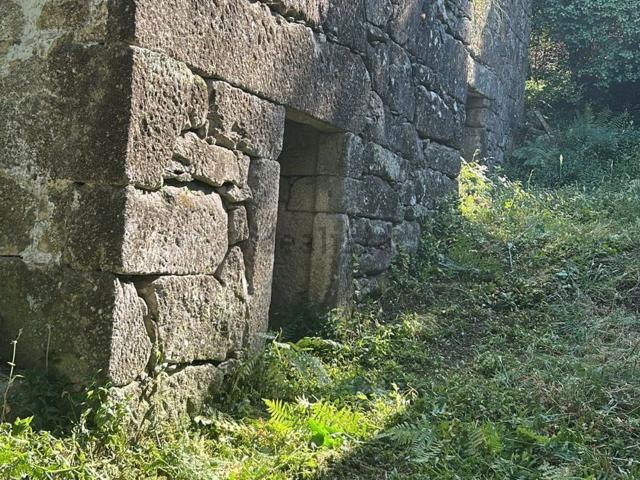 Casa rústica, Arbo