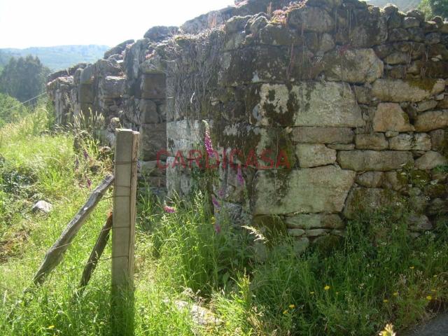 Casa rústica, Arbo