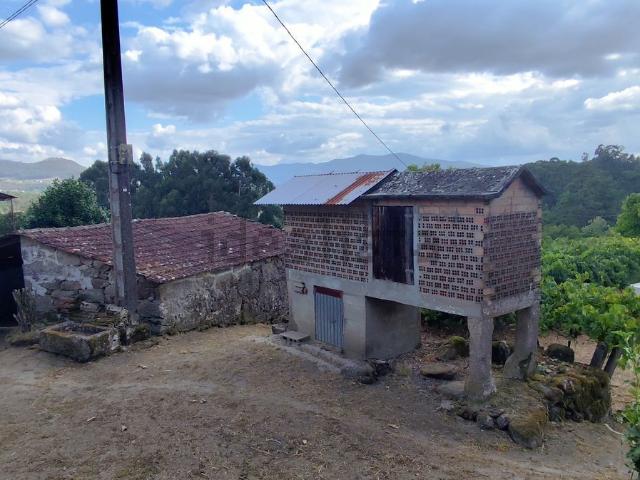 Casa rústica, Arbo