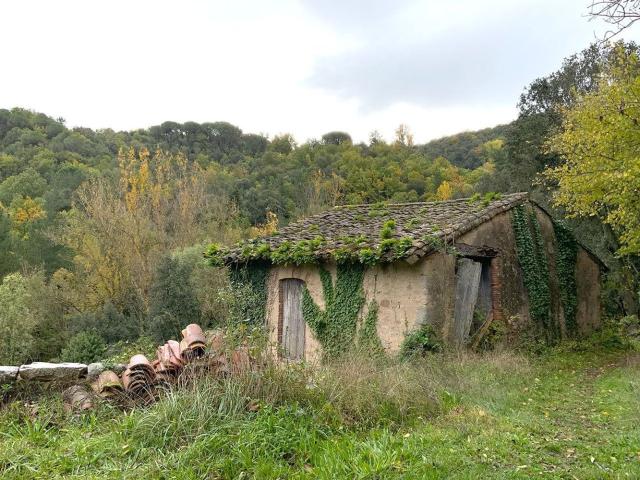Casa rústica, Arbúcies