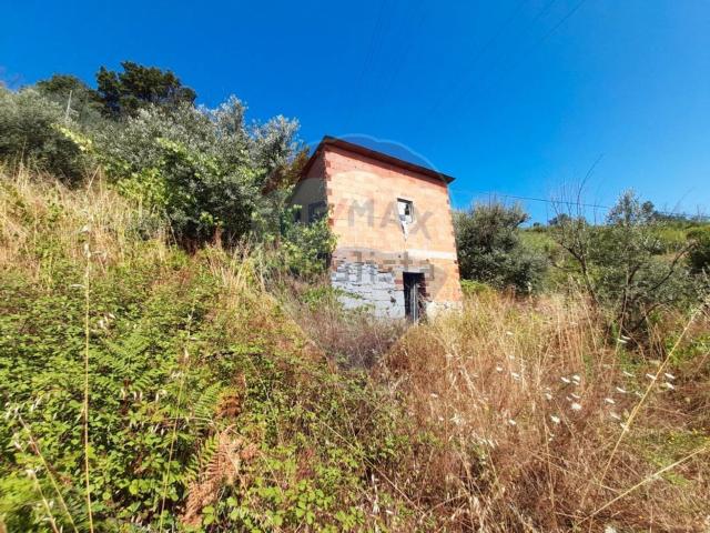 Casa rústica, Avô