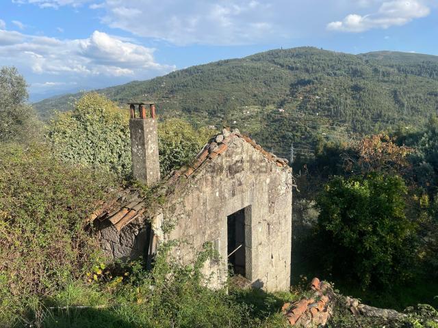 Casa rústica, Avô