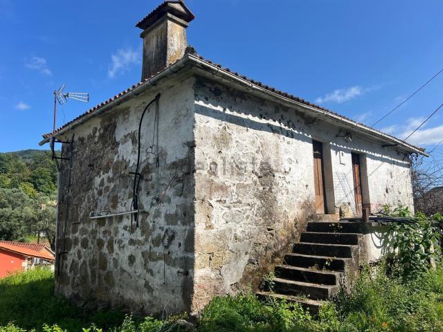 Casa rústica, Bárrio e Cepões