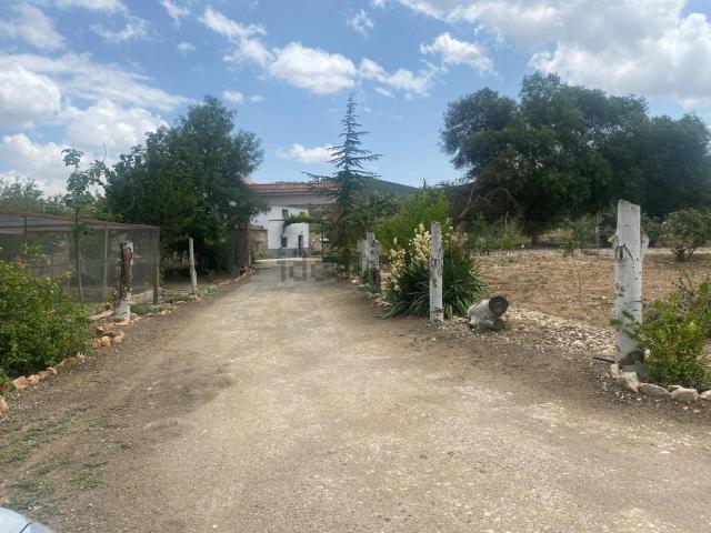 Casa rústica, Benalua de las Villas
