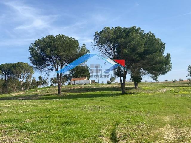 Casa rústica, Branca