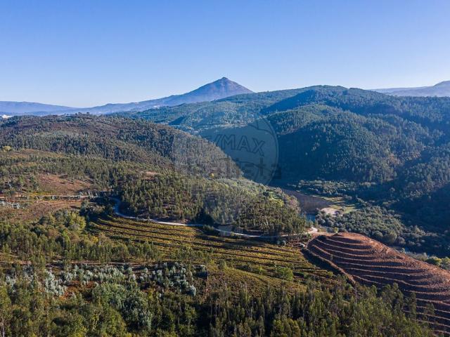 Casa rústica, Britelo Gémeos Ourilhe