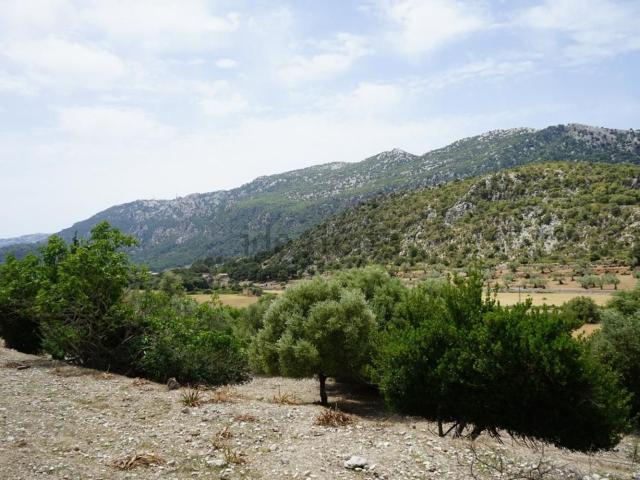 Casa rústica, Bunyola