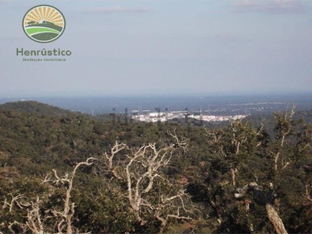 Casa rústica, Grândola e Santa Margarida da Serra