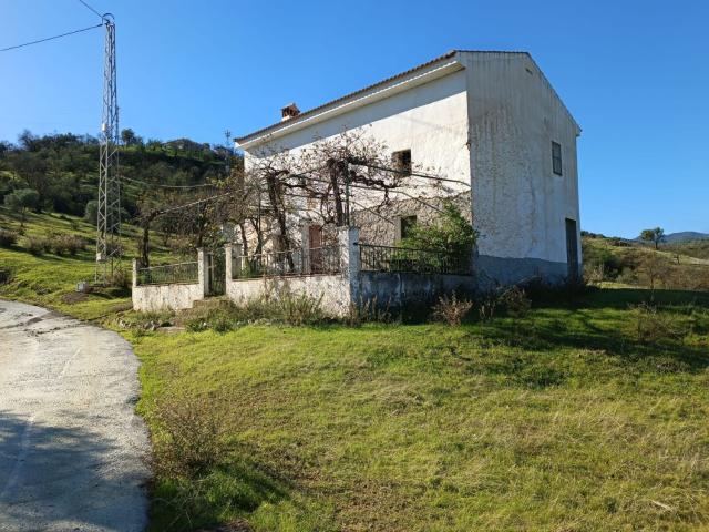 Casa rústica, Guaro