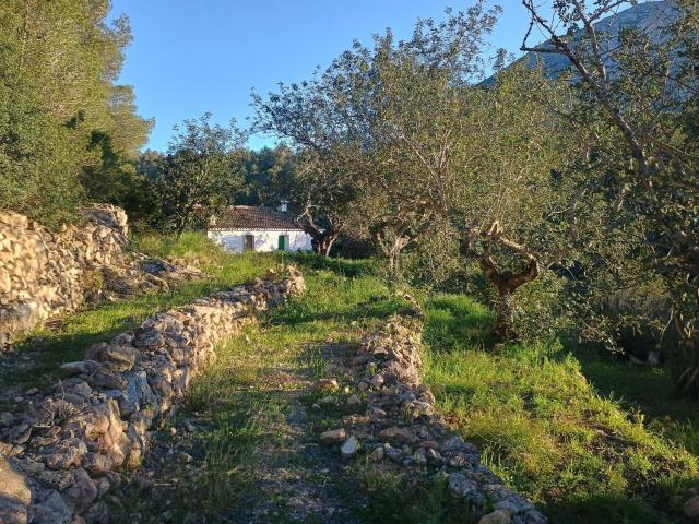Casa rústica, Denia