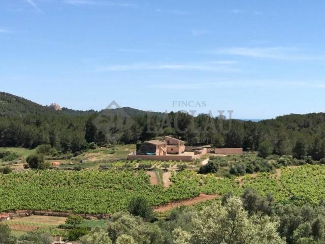 Casa rústica en venta Sant Pere de Ribes