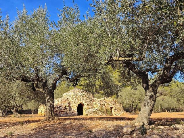 Casa rústica, El Pla de Santa Maria