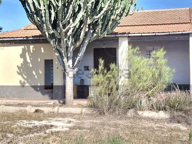Casa rústica, Elche / Elx
