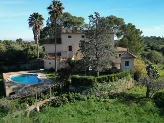 Casa rústica, Establiments, Palma de Mallorca