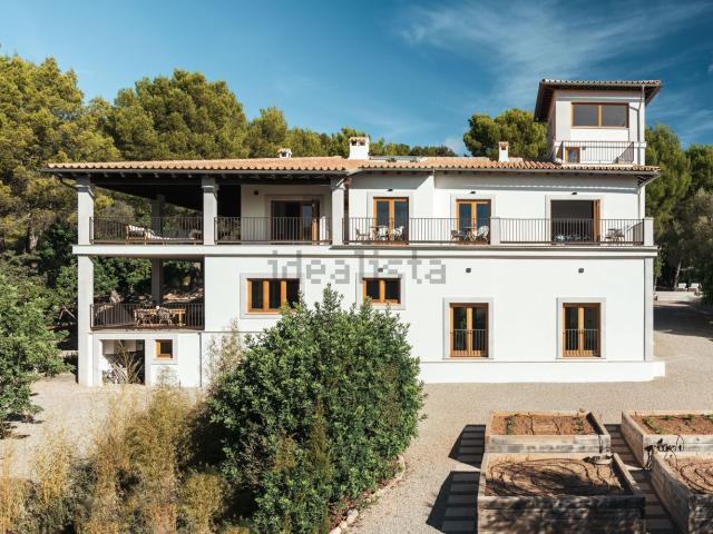 Casa rústica, Establiments, Palma de Mallorca