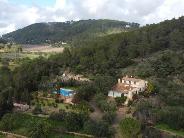 Casa rústica, Establiments, Palma de Mallorca