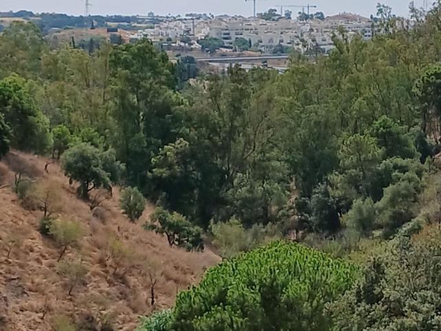 Casa rústica, Estepona