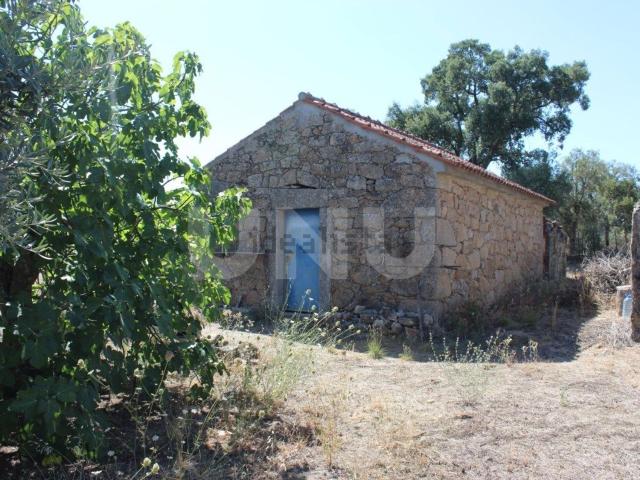 Casa rústica, Escalos de Cima e Lousa