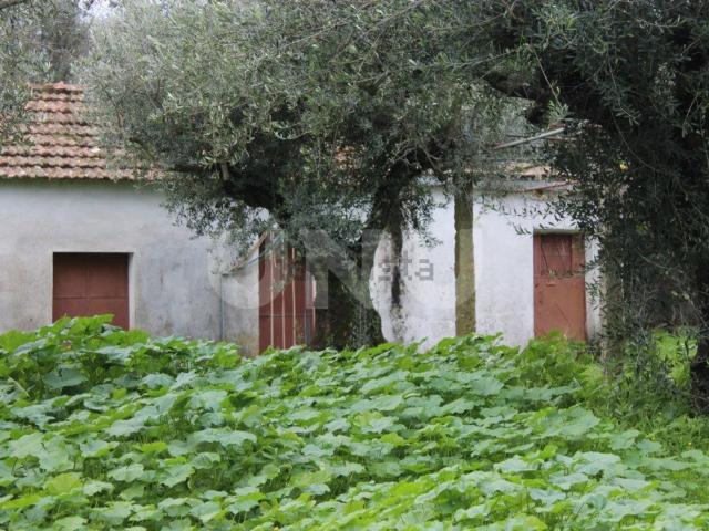 Casa rústica, Escalos de Cima e Lousa