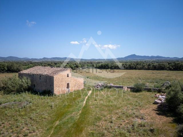 Casa rústica, Felanitx