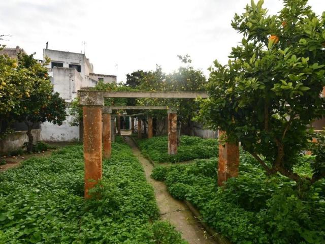 Casa rústica, Felanitx