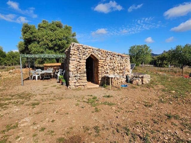 Casa rústica, Felanitx