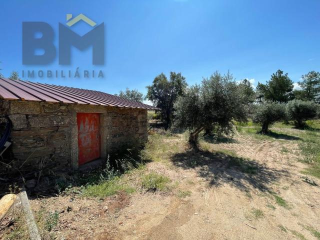 Casa rústica, Freixial e Juncal do Campo