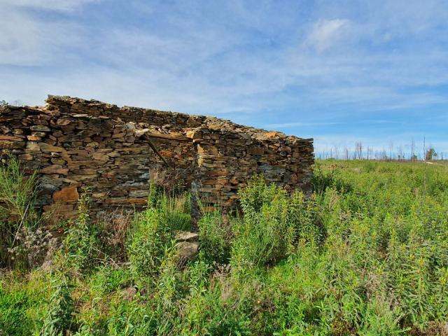 Casa rústica, Freixial e Juncal do Campo