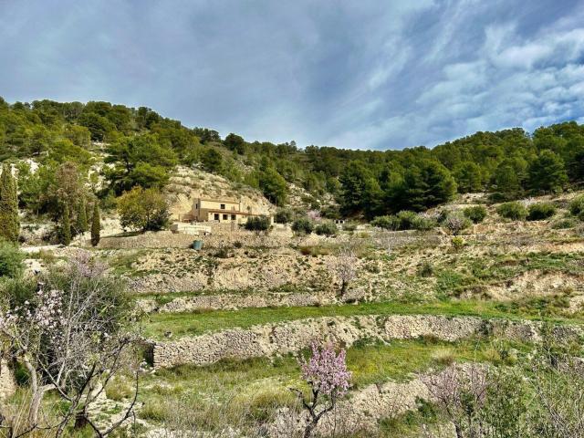 Casa rústica, Jijona / Xixona