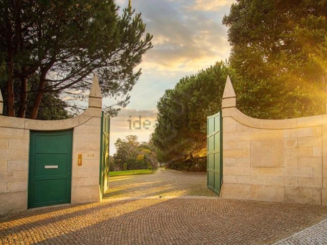 Casa rústica, Oliveira de Azeméis Santiago da Riba Ul Ul Macinhata da Seixa Madail