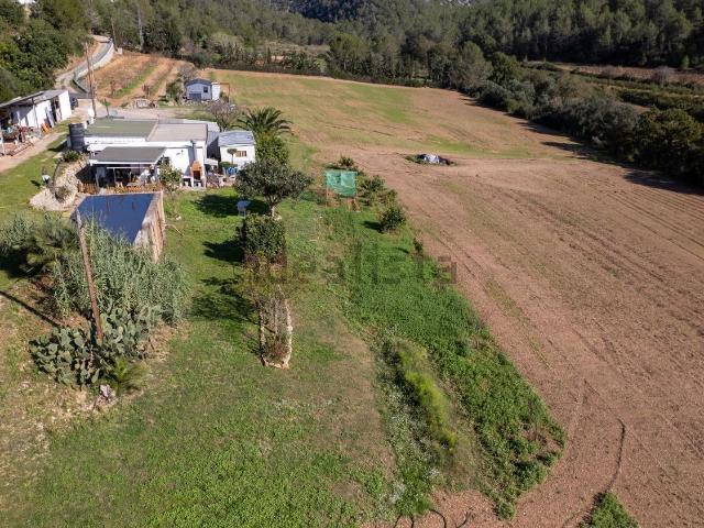 Casa rústica, Olivella