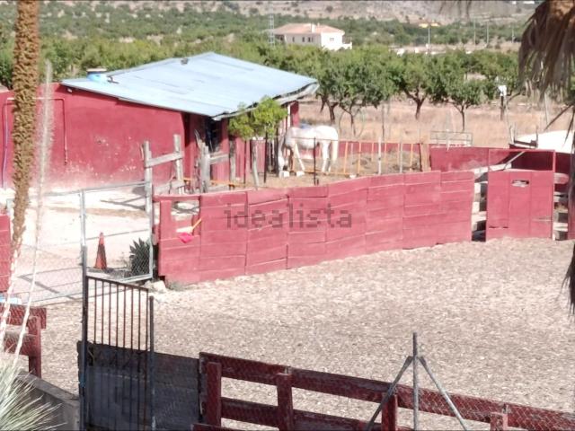Casa rústica, Orihuela