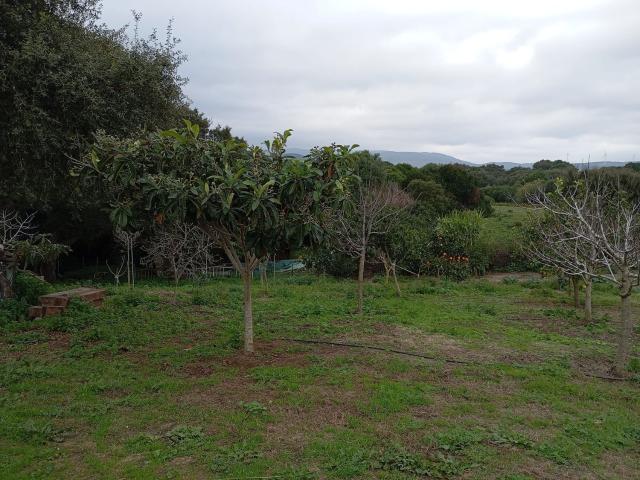 Casa rústica, Los Barrios