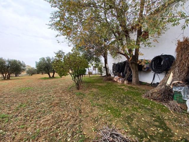 Casa rústica, La Roda