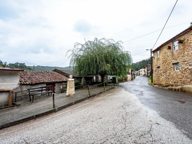 Casa rústica, Lamas