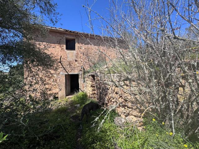 Casa rústica, Llucmajor