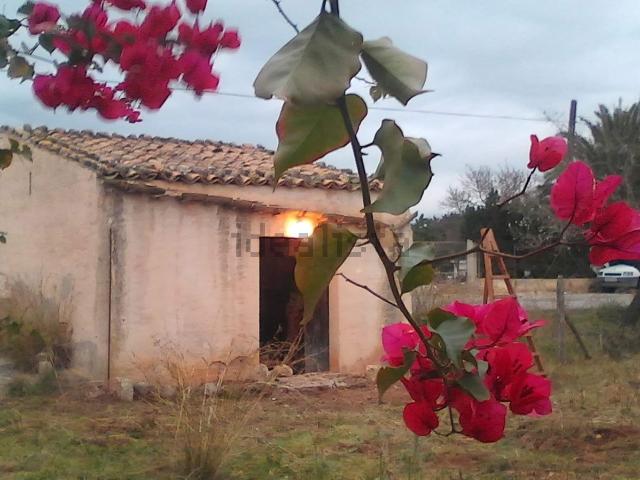 Casa rústica, Lloseta
