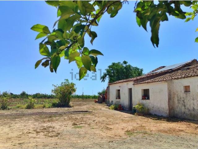 Casa rústica, Luz de Tavira e Santo Estêvão