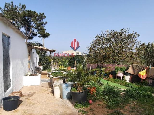 Casa rústica, Luz