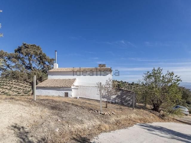 Casa rústica, Montefrio