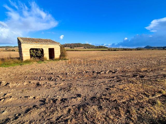 Casa rústica, Montuiri