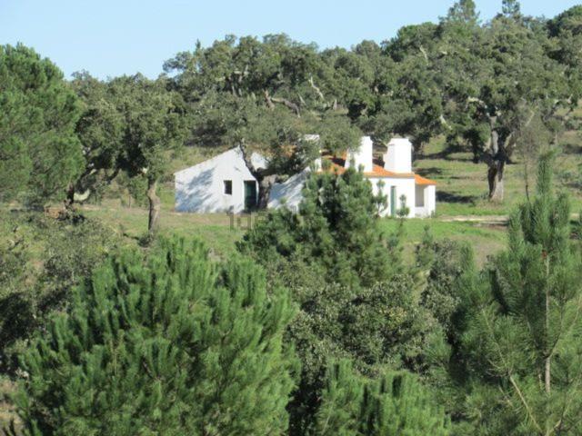Casa rústica, Mora