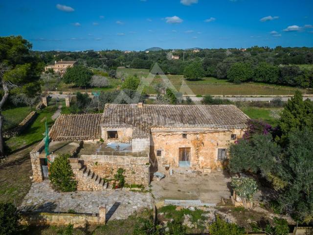 Casa rústica, Manacor
